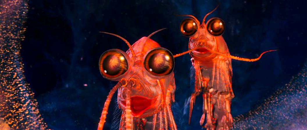 Will the Krill Will the Krill