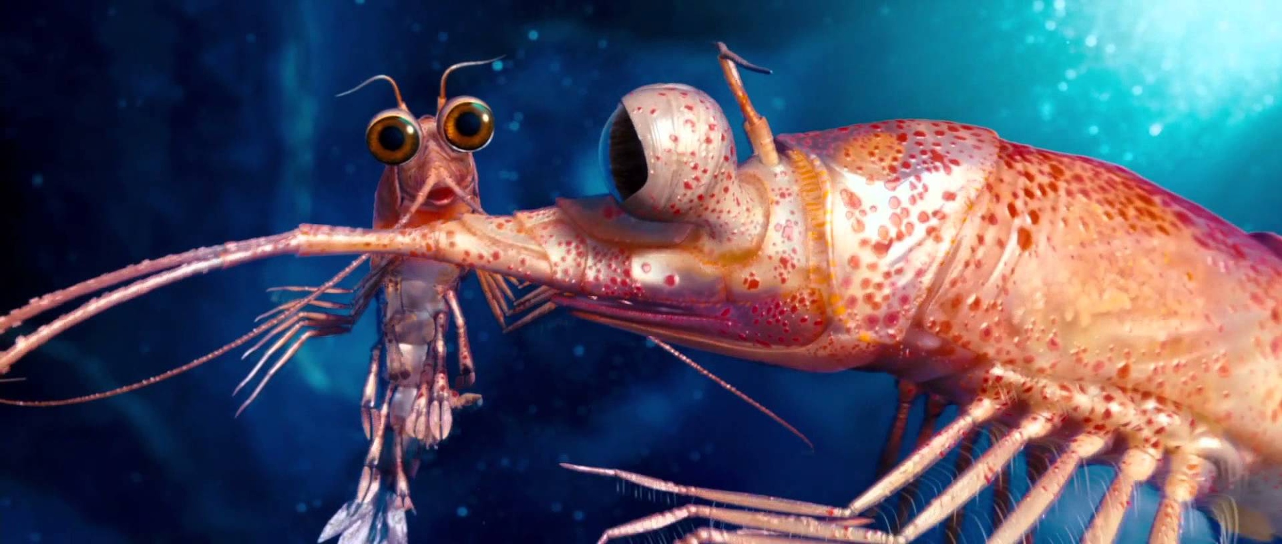 Bill the Krill Bill the Krill
