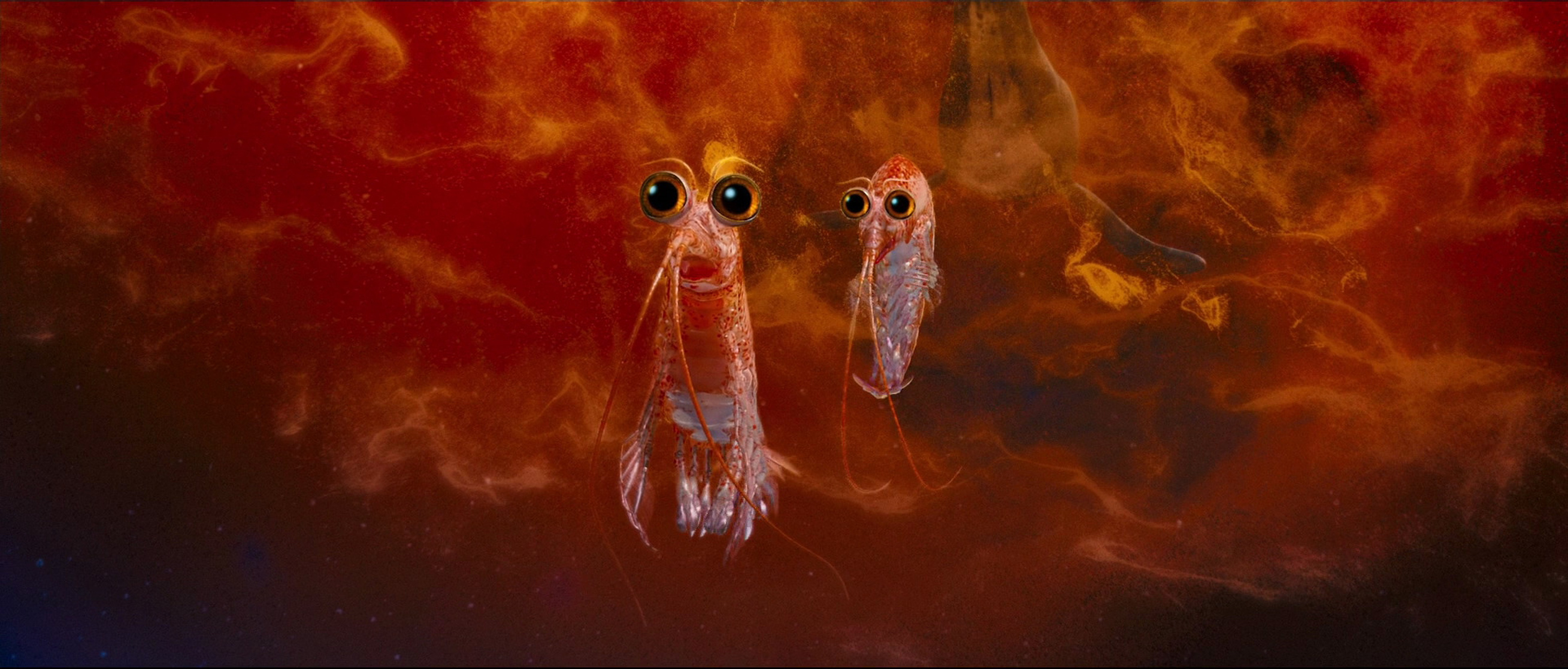 Bill the Krill Bill the Krill