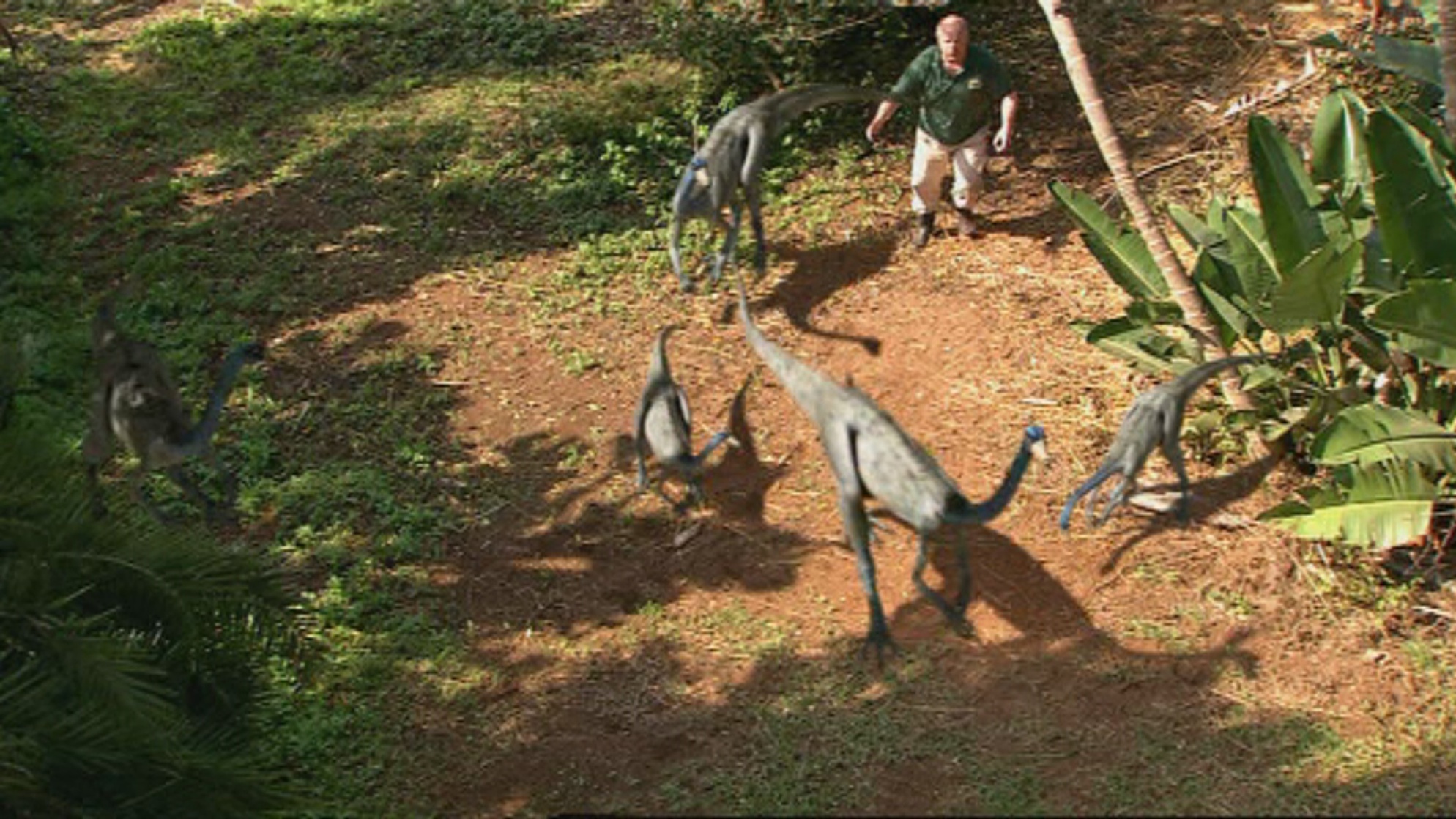 Prehistoric Park Prehistoric Park