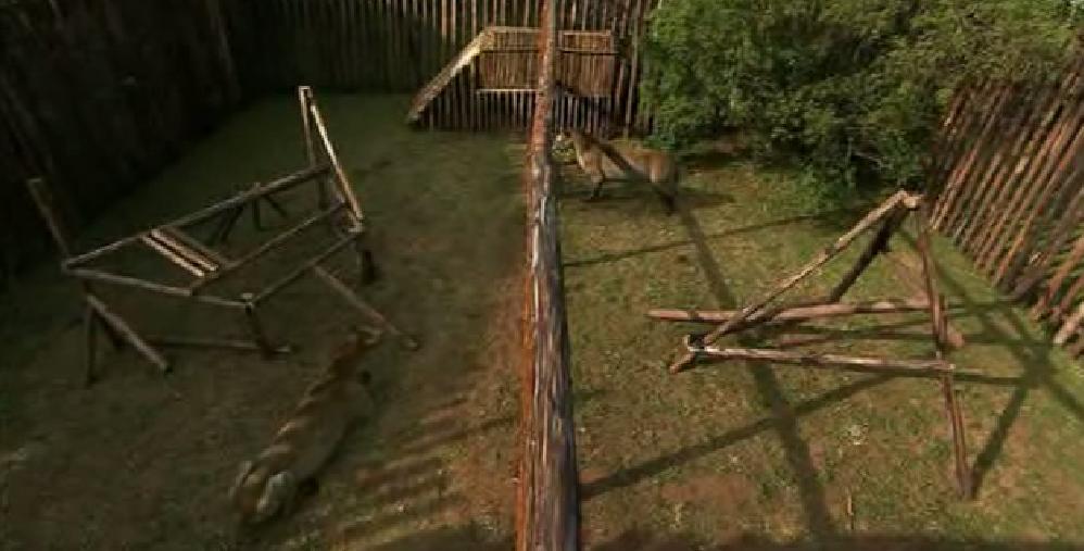 Prehistoric Park