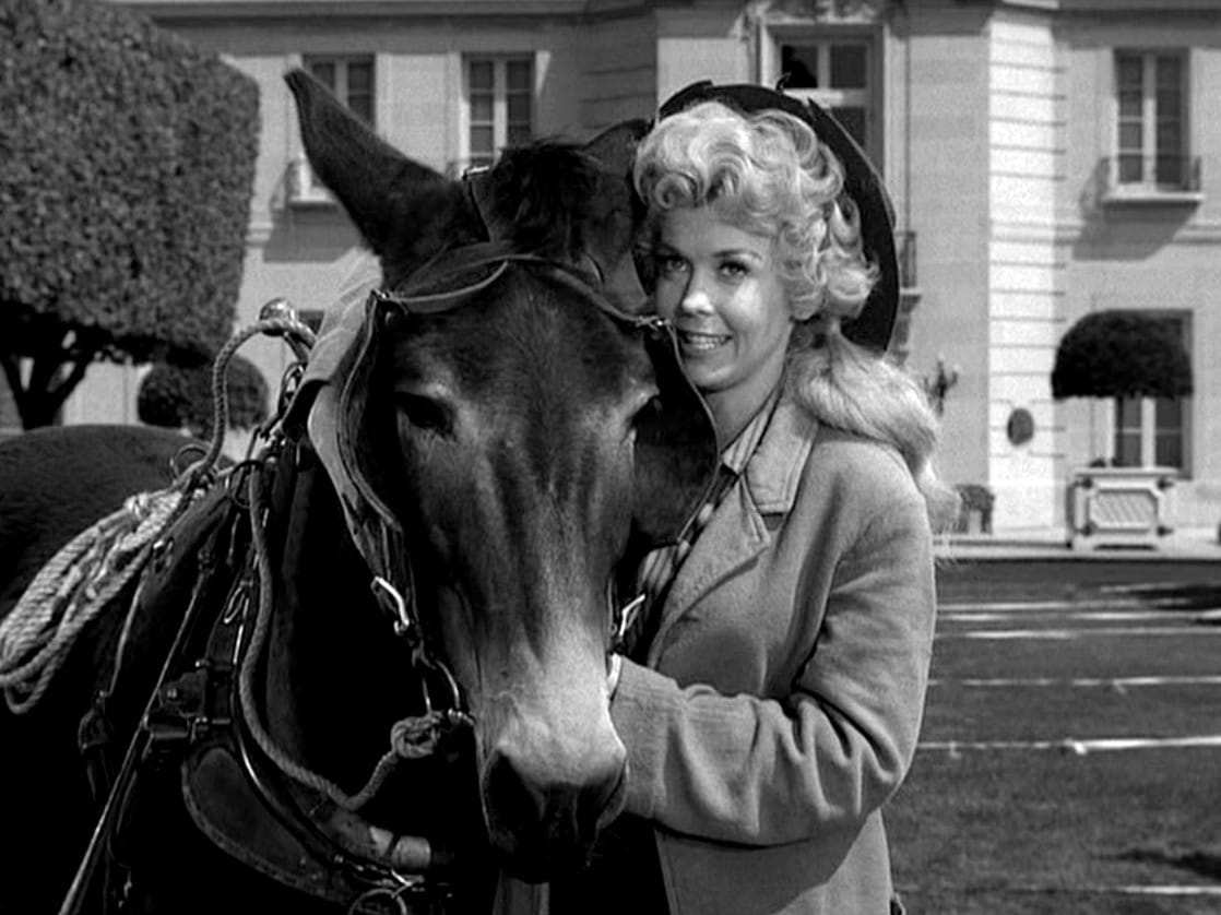 Donna Douglas