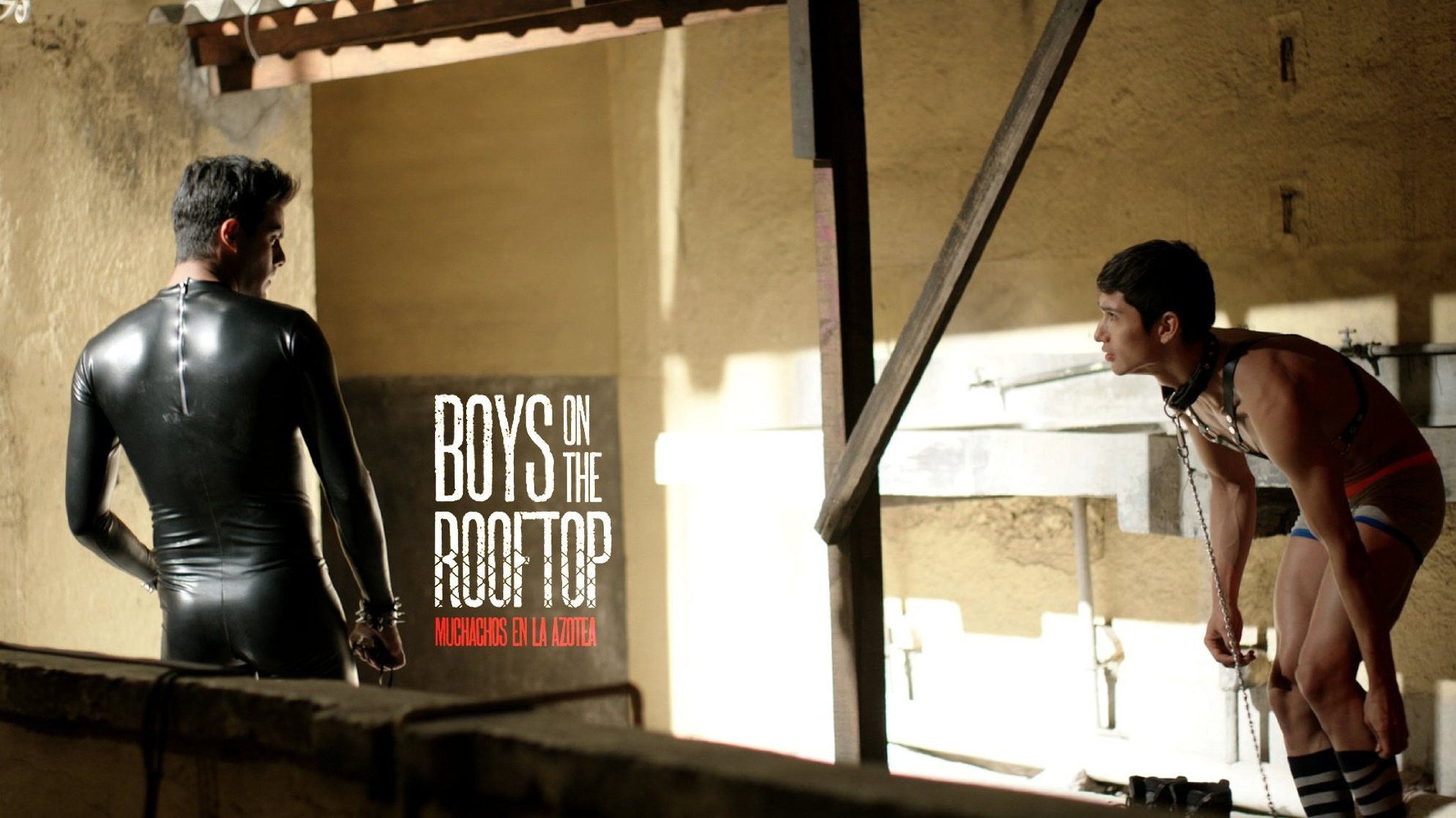 Boys on the Rooftop