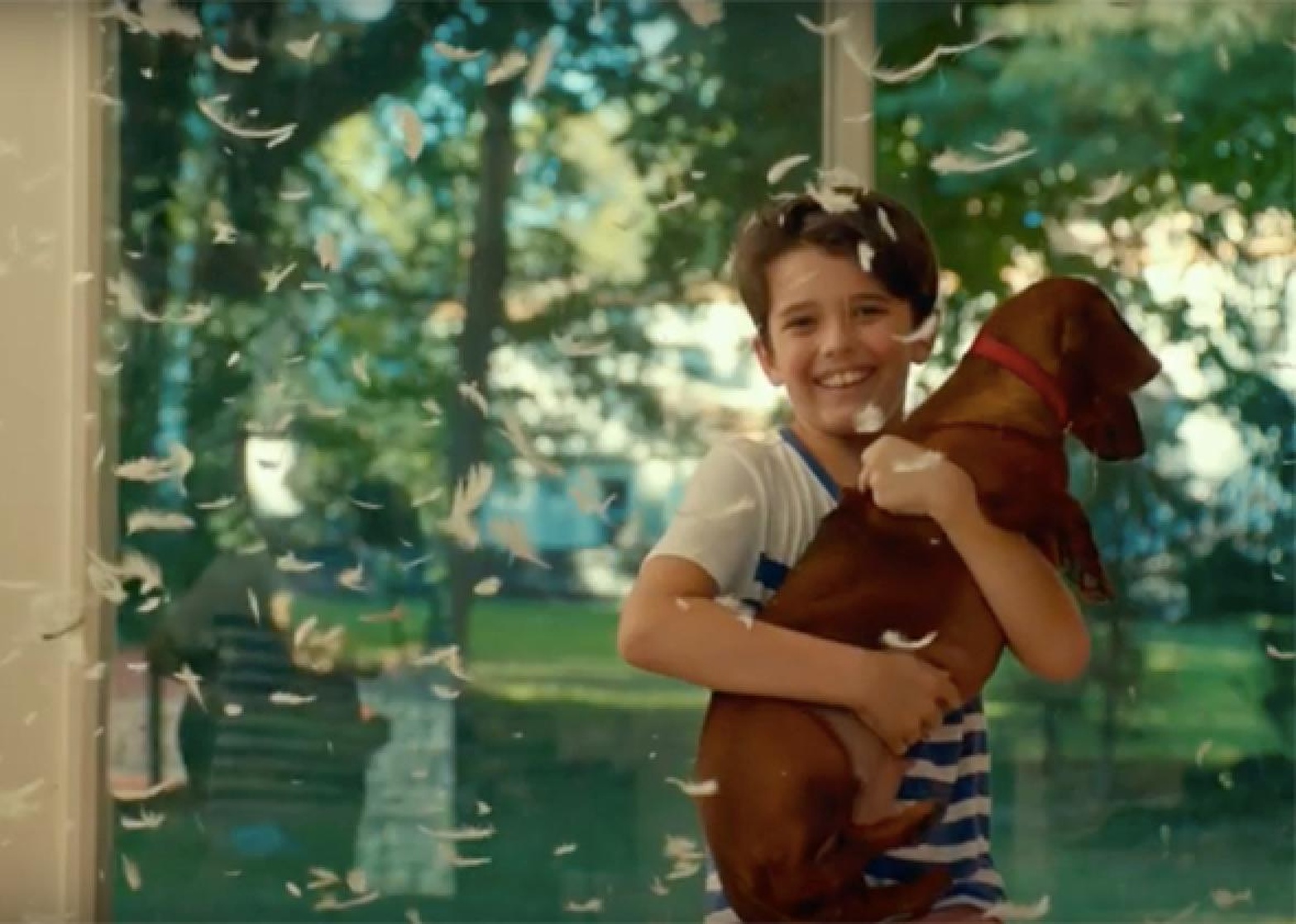 Wiener-Dog Wiener-Dog