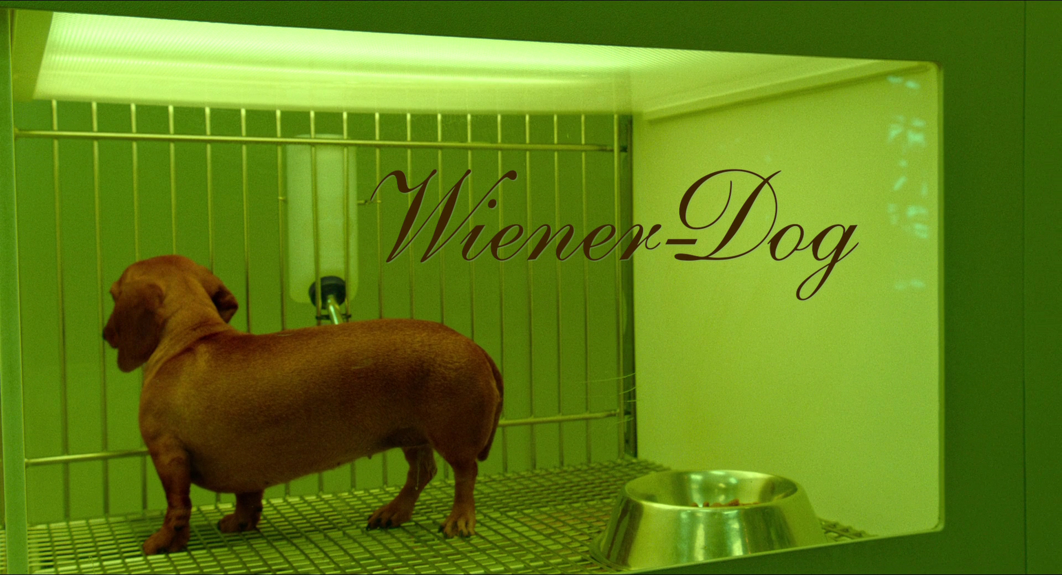 Wiener-Dog Wiener-Dog