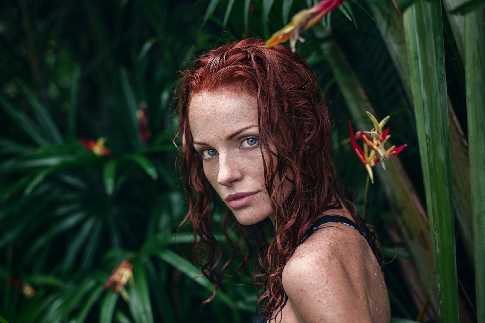 Anya Red Anya Red