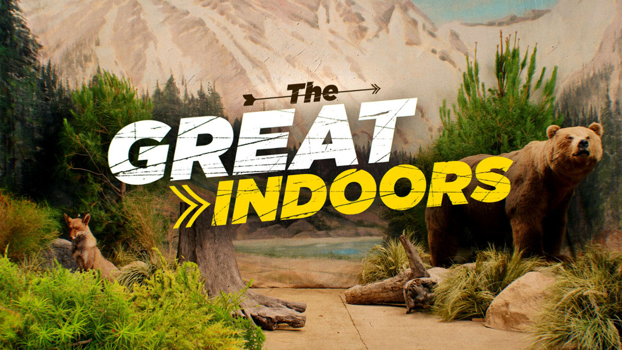 The Great Indoors                                  (2016- )