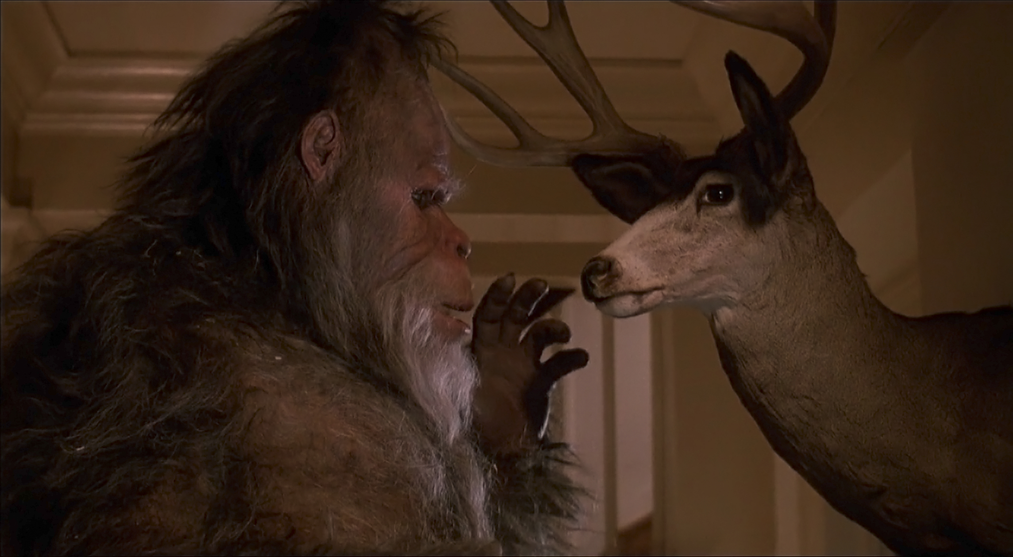 Harry and the Hendersons Harry and the Hendersons