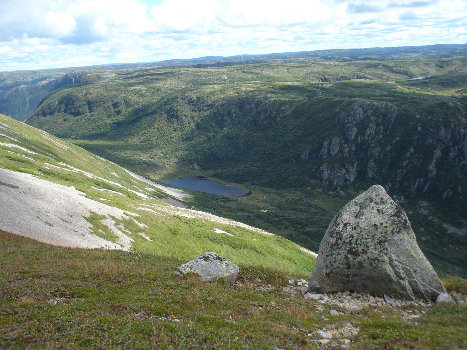 Newfoundland 