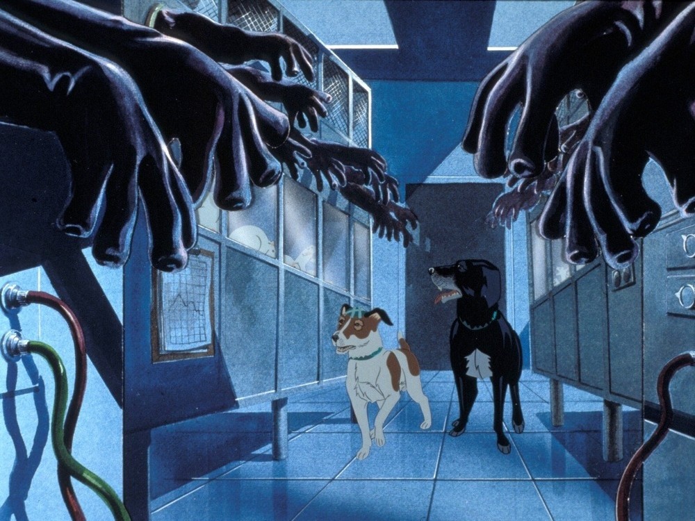 The Plague Dogs The Plague Dogs