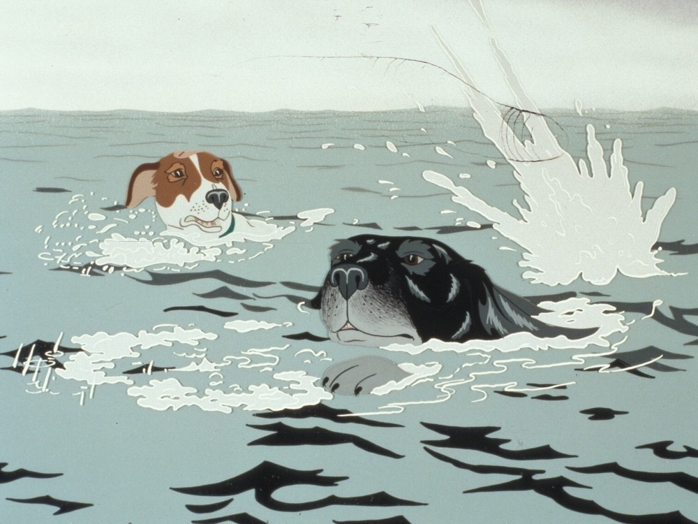 The Plague Dogs The Plague Dogs
