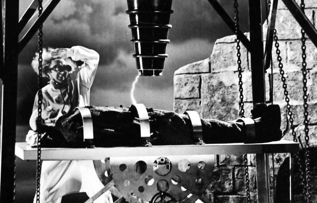Young Frankenstein Young Frankenstein