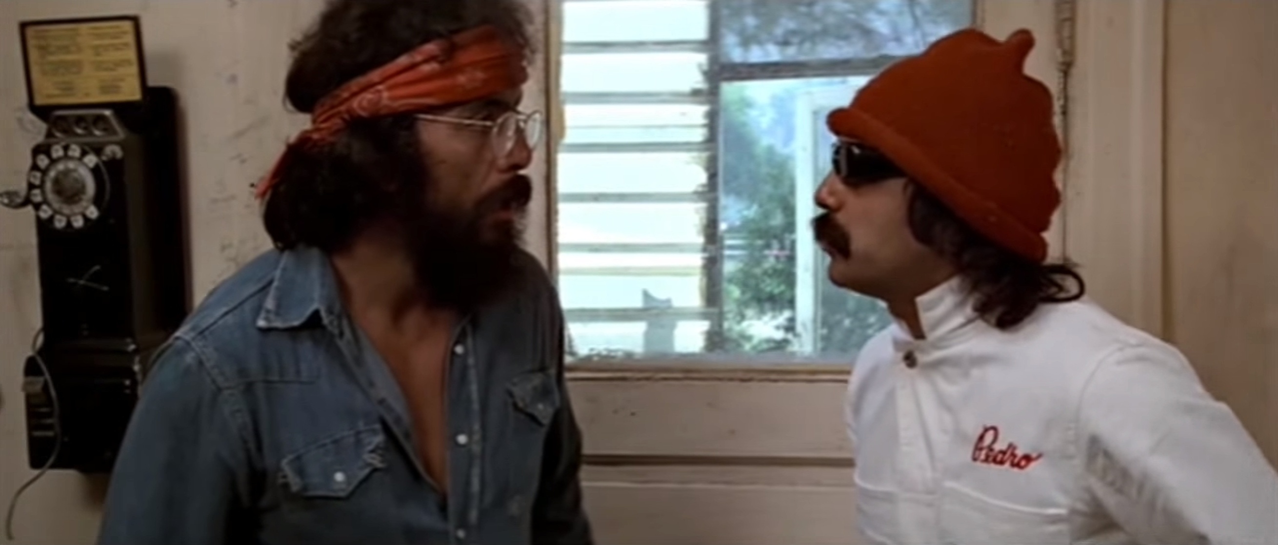 Picture of Cheech and Chong's Up in Smoke