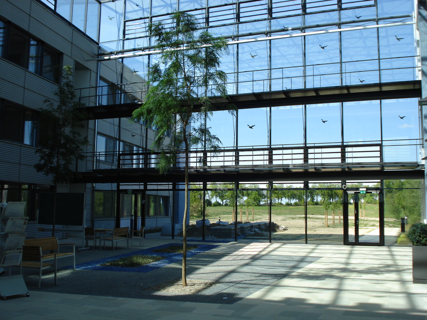 Max Planck Institute for Gravitational Physics Max Planck Institute for Gravitational Physics