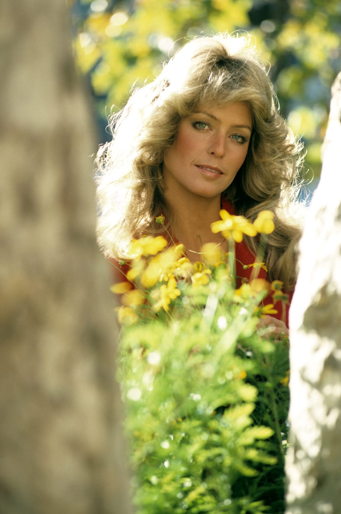 Farrah Fawcett