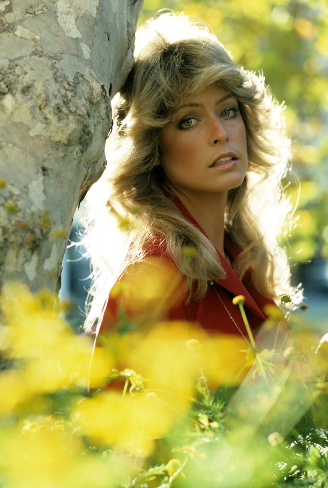 Farrah Fawcett