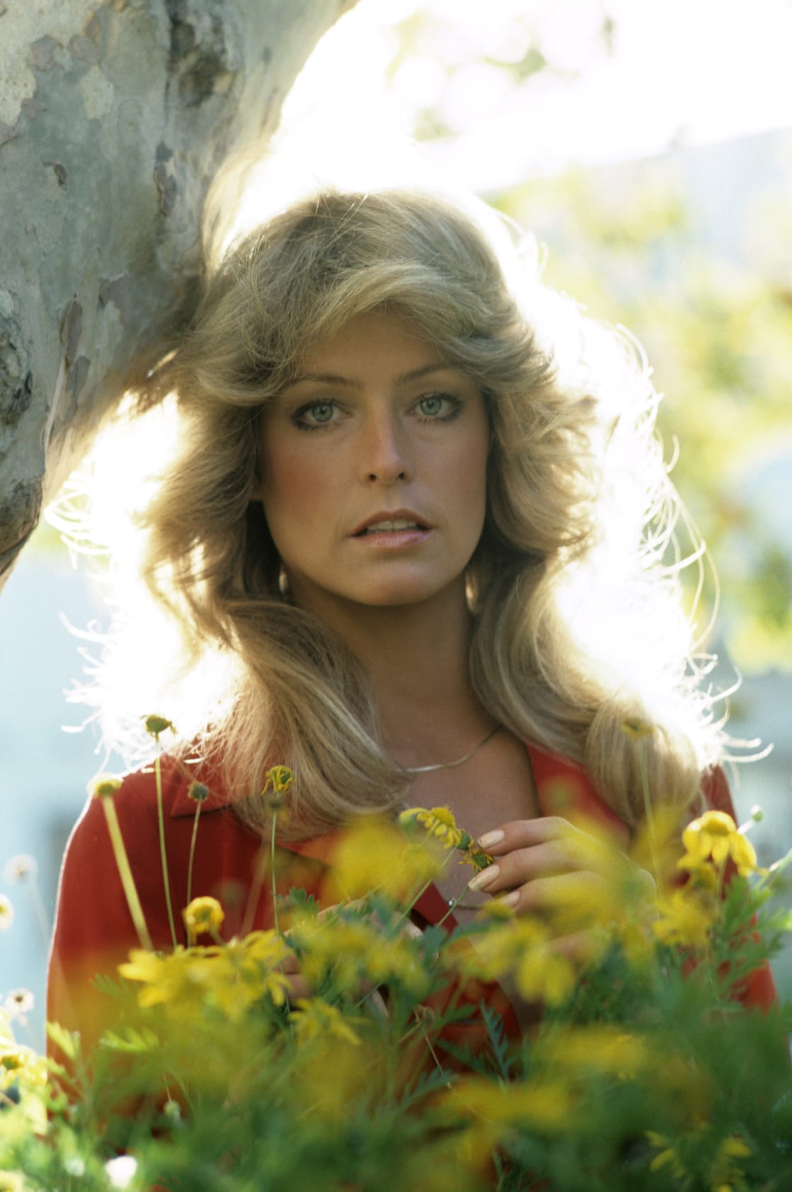 Farrah Fawcett