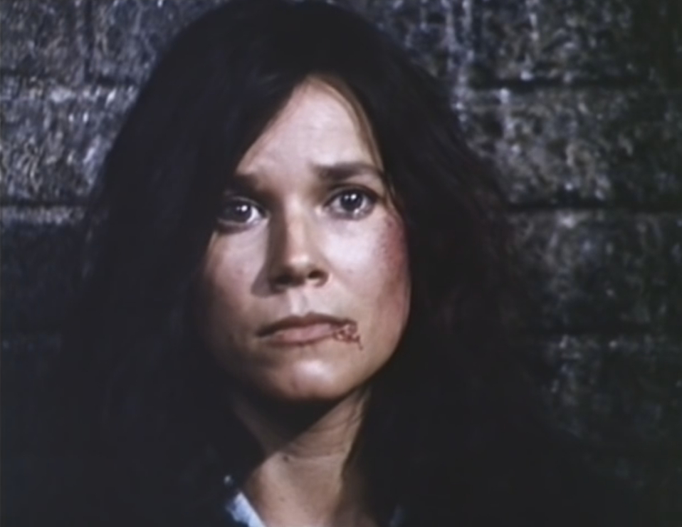 Picture of A Man Called Intrepid (1979)