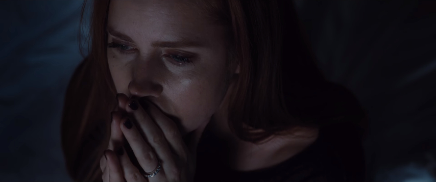 Nocturnal Animals Nocturnal Animals