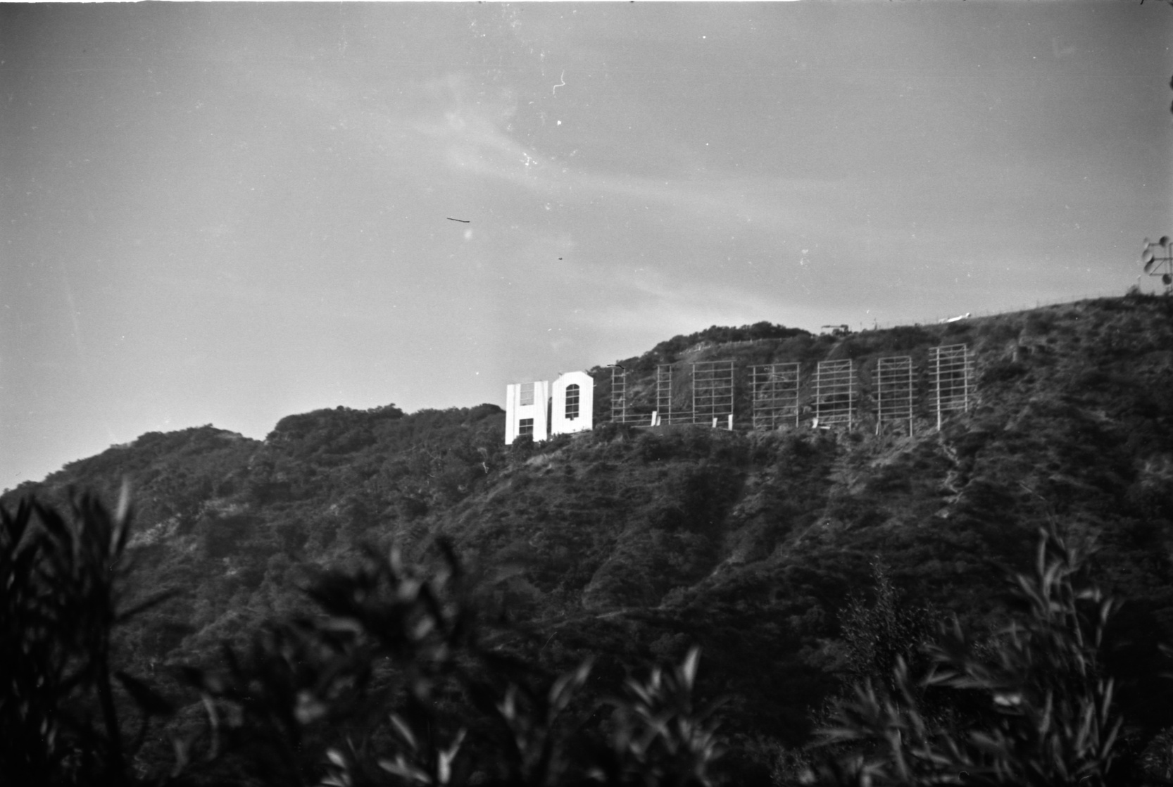 Hollywood Sign