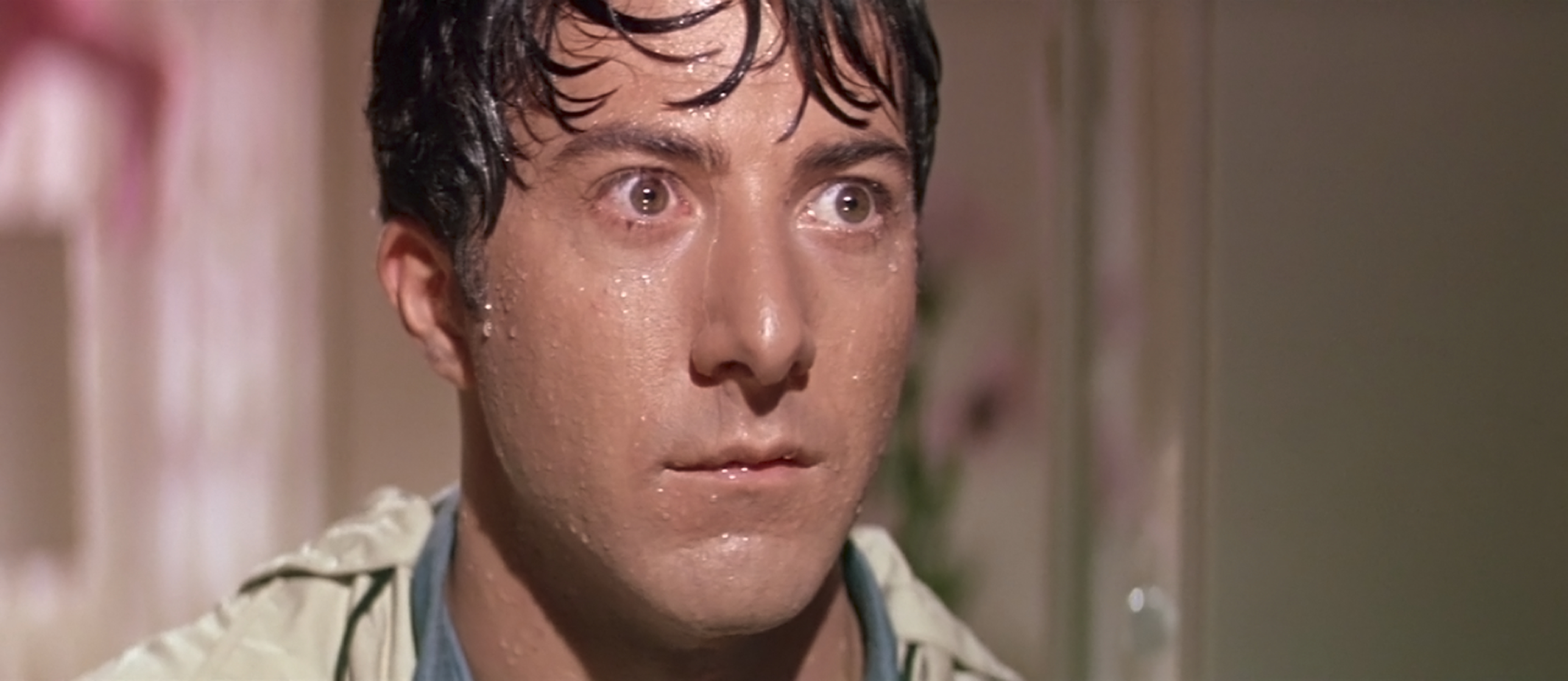 The Graduate The Graduate