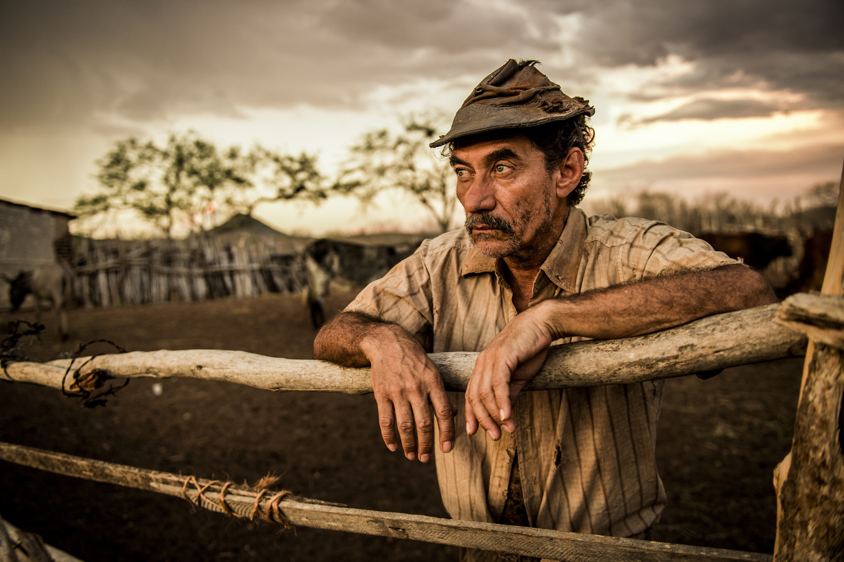 Velho Chico                                  (2016-2016)