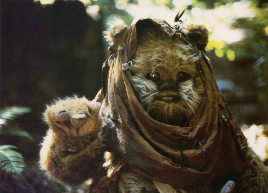 The Ewok Adventure