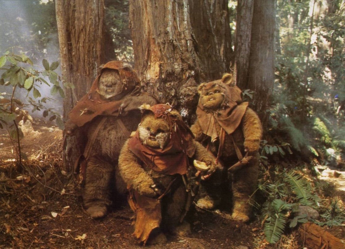 The Ewok Adventure