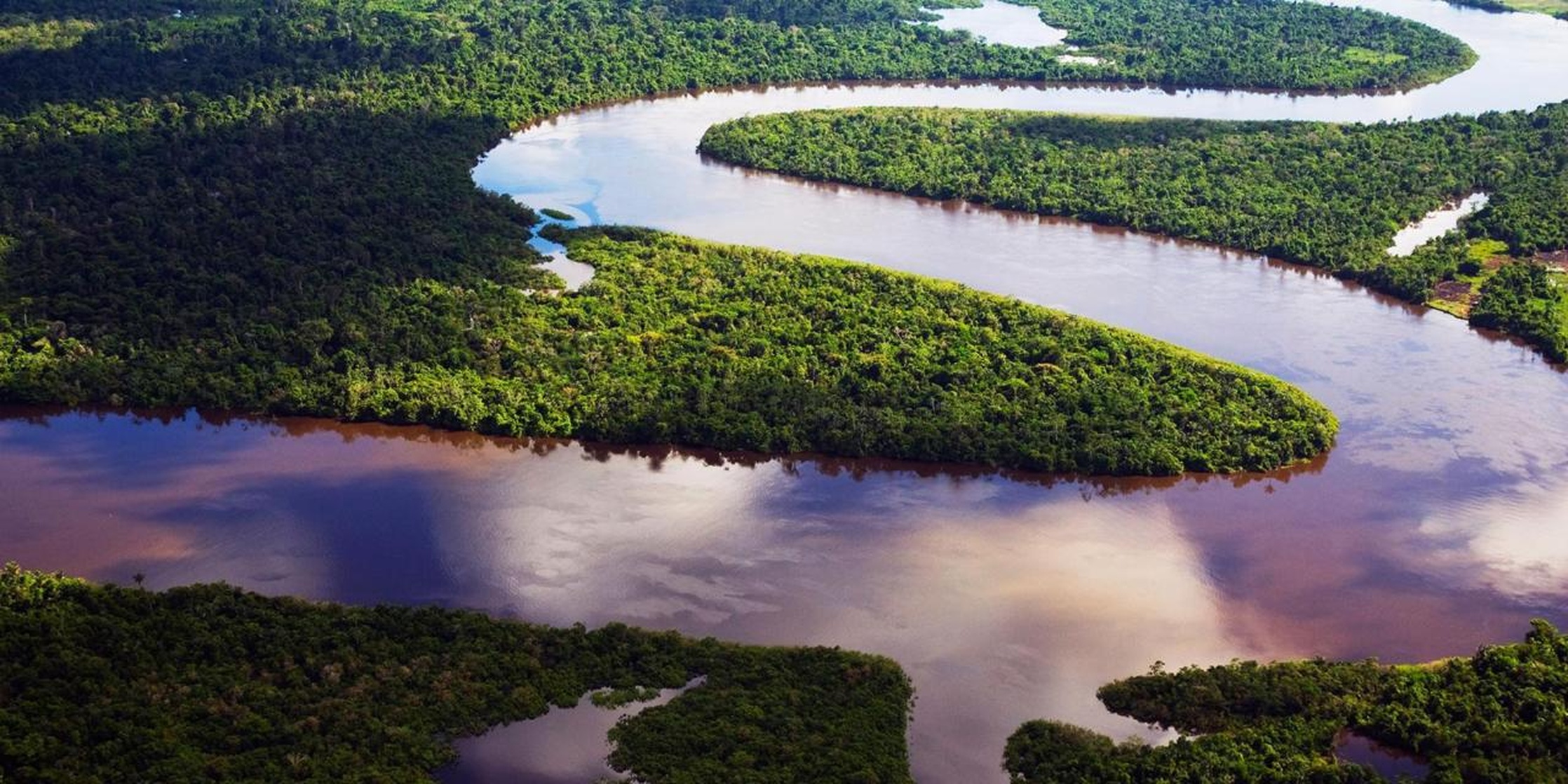 Amazon River