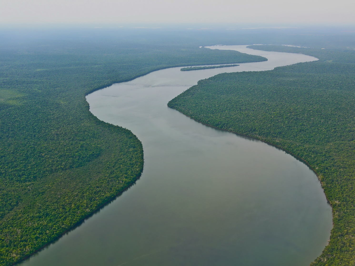 Amazon River