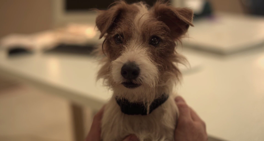 Beginners