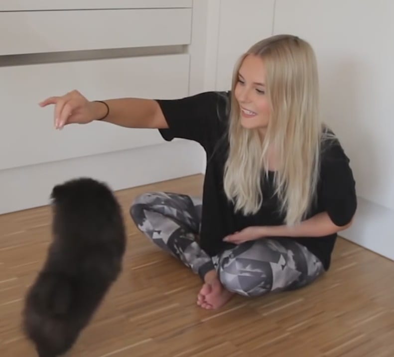 Picture of Dagi Bee