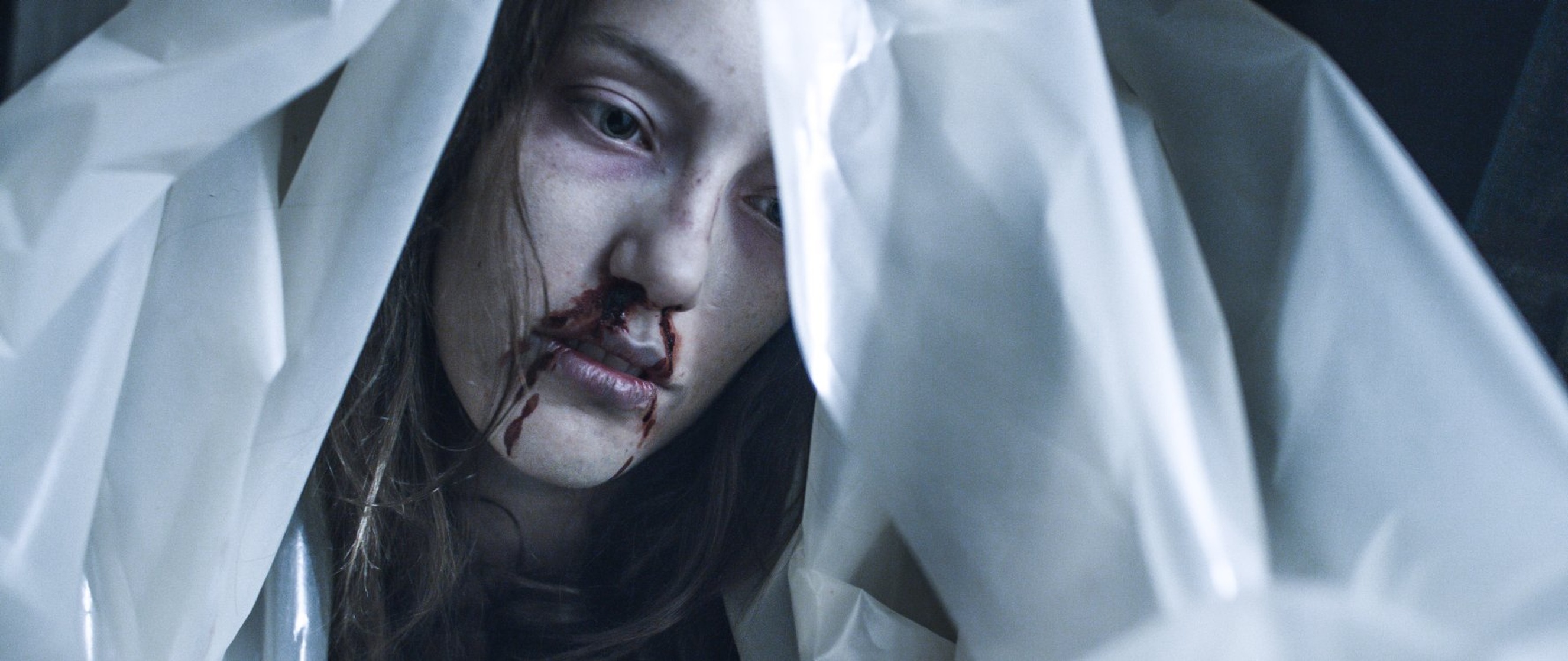 Dark Signal                                  (2016)