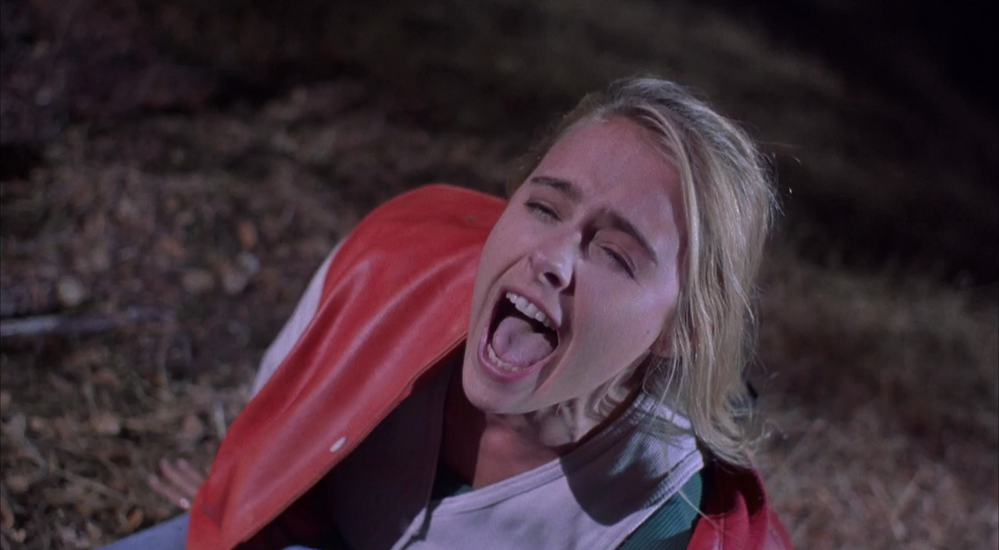 Pumpkinhead II: Blood Wings