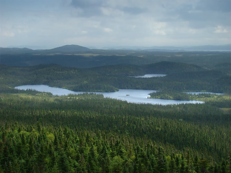 Terra Nova National Park