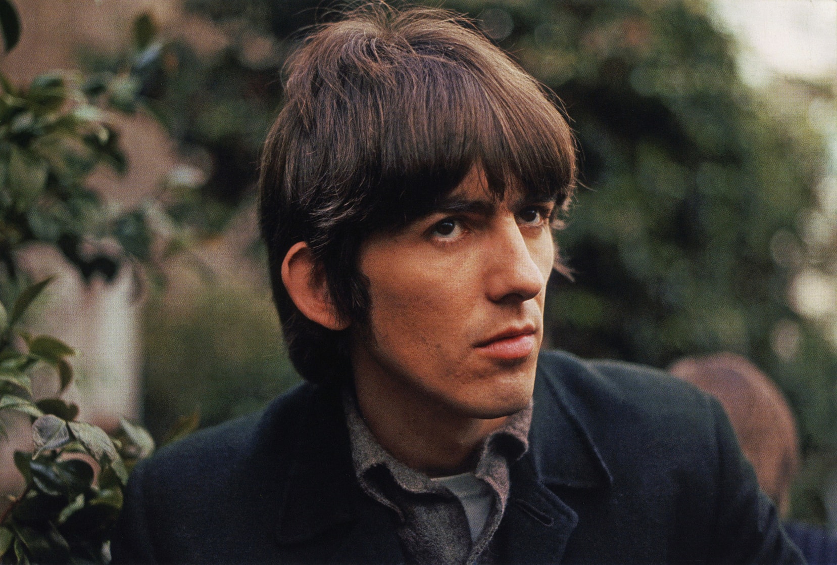 George Harrison picture