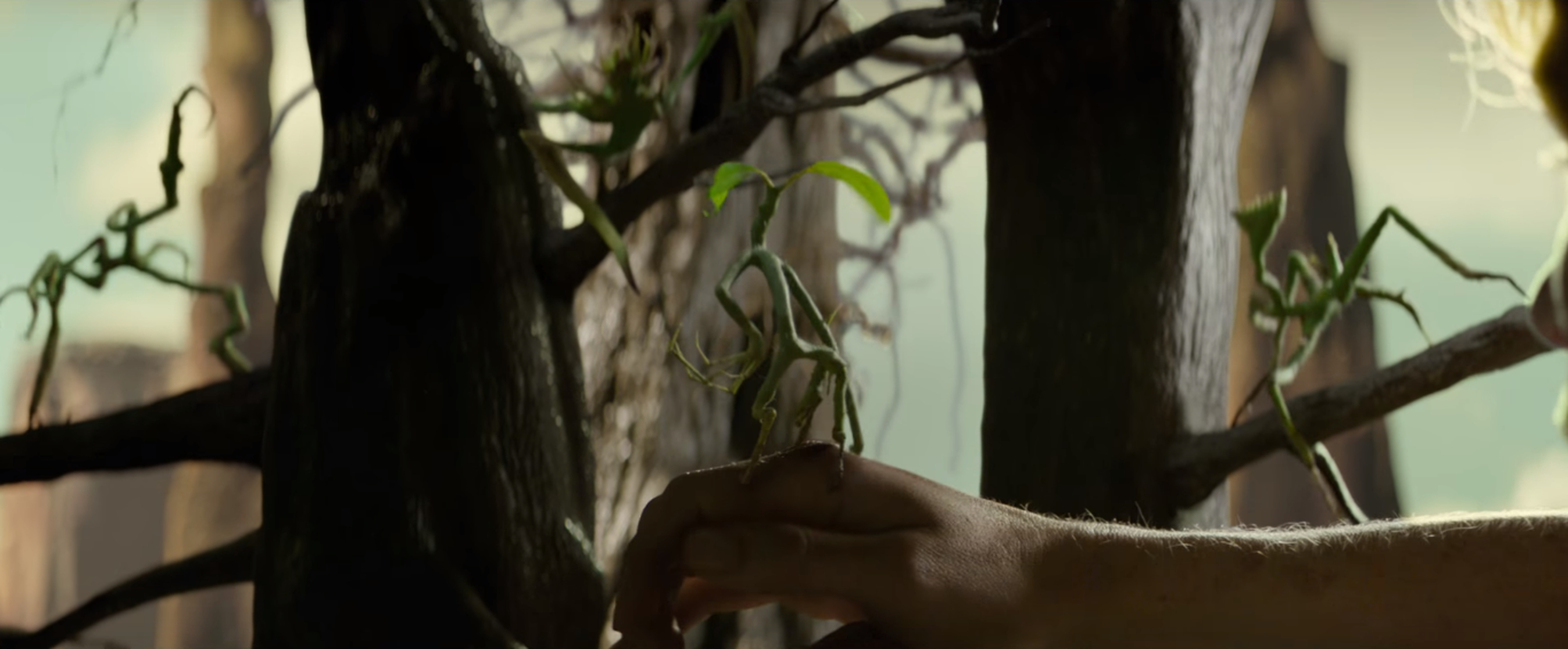Fantastic Beasts and Where to Find Them