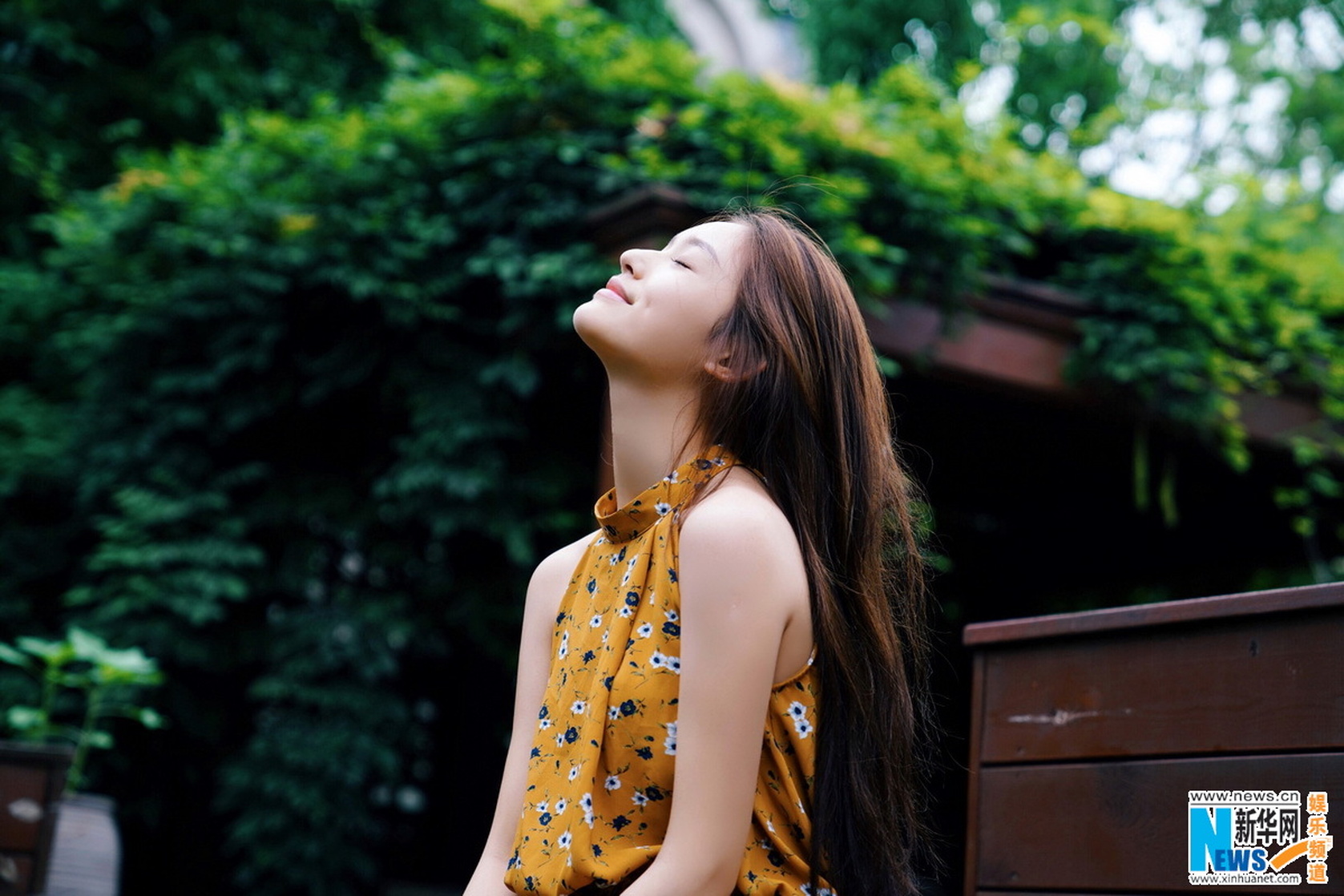Yun Lin Yun Lin