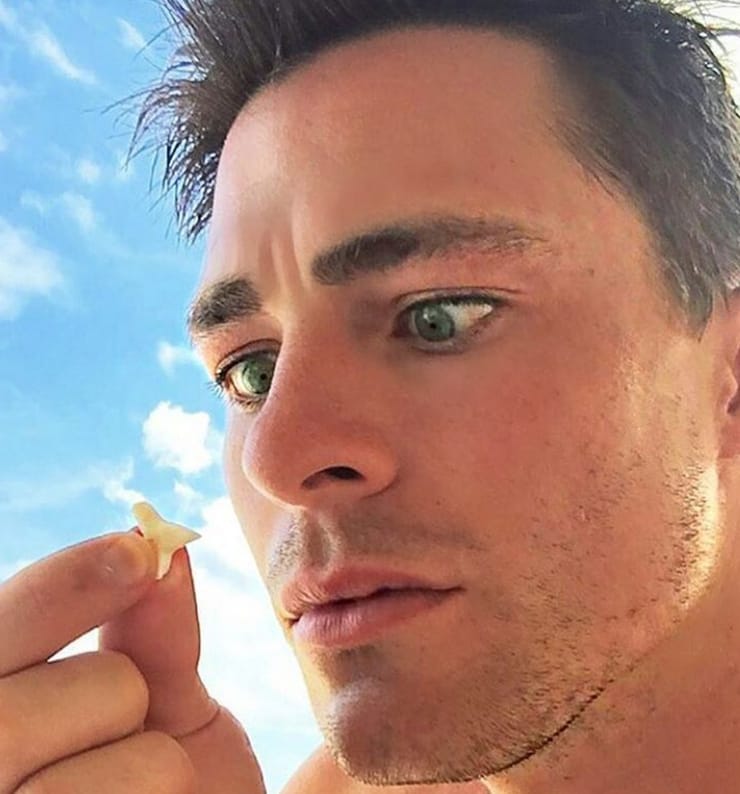 Picture of Colton Haynes.