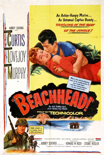 picture-of-beachhead