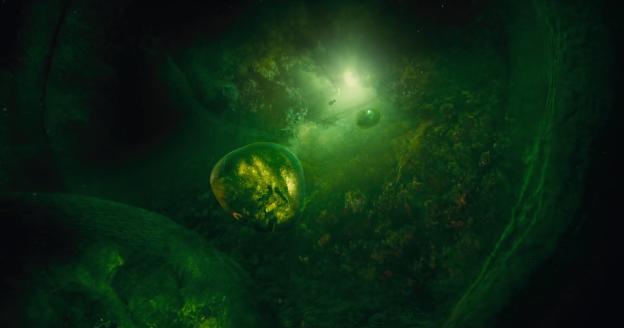 Voyage of Time Voyage of Time