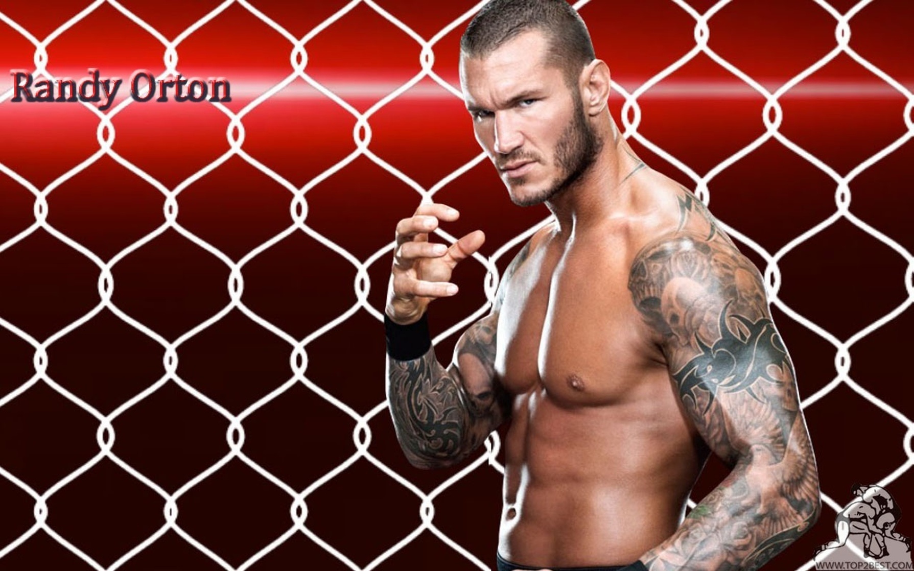 Picture of Randy Orton