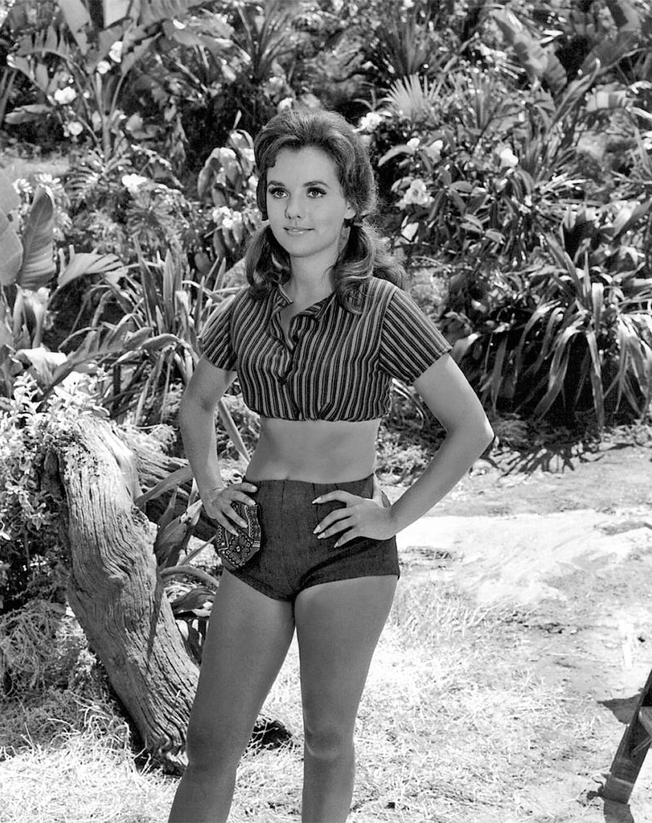 Picture Of Dawn Wells