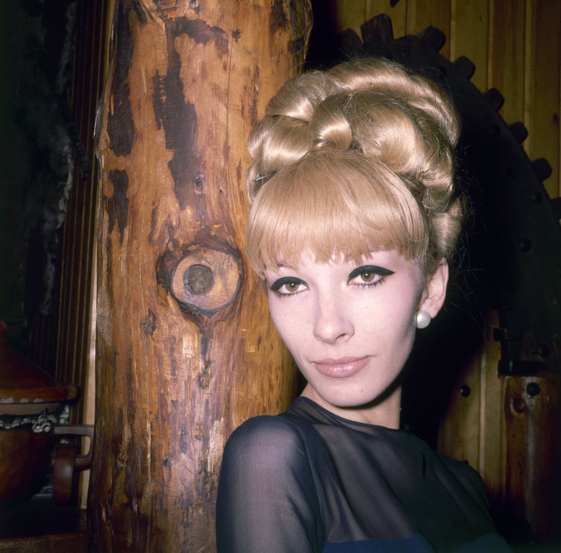 Dany Saval