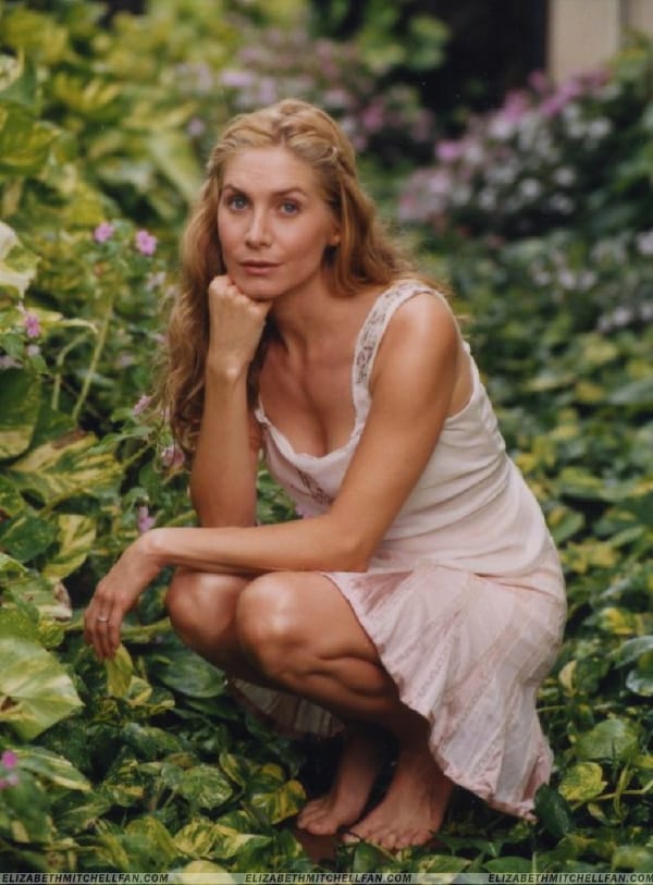 Elizabeth Mitchell Fakes