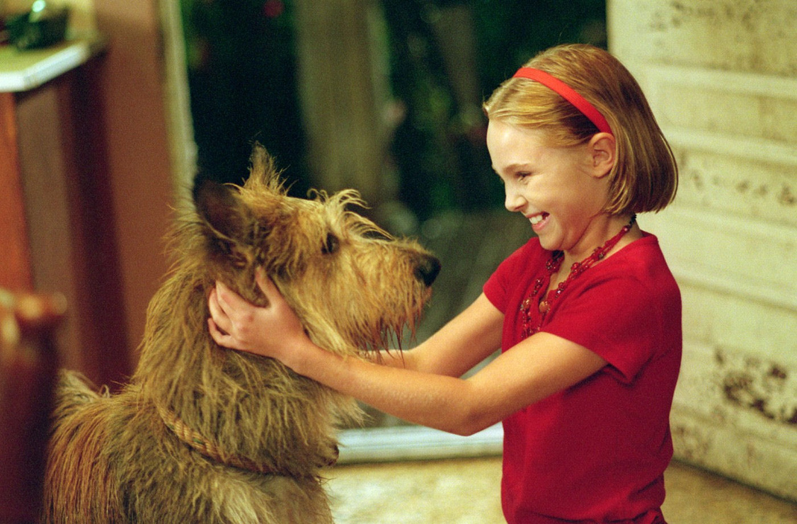 2005 Because Of Winn-Dixie 2005 Because Of Winn-Dixie