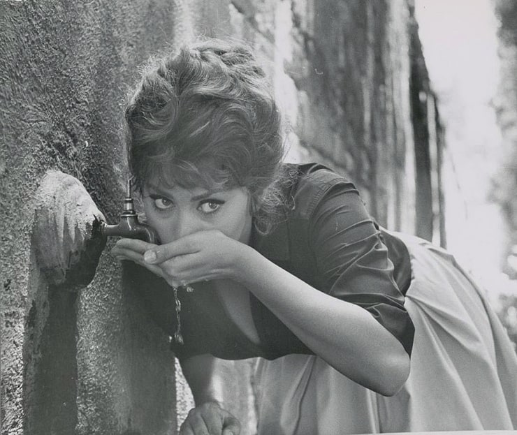 Picture Of Sophia Loren