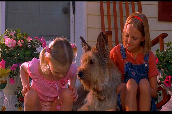 Because Of Winn Dixie 2005 Full Movie Picture of Because Of Winn-Dixie (2005)