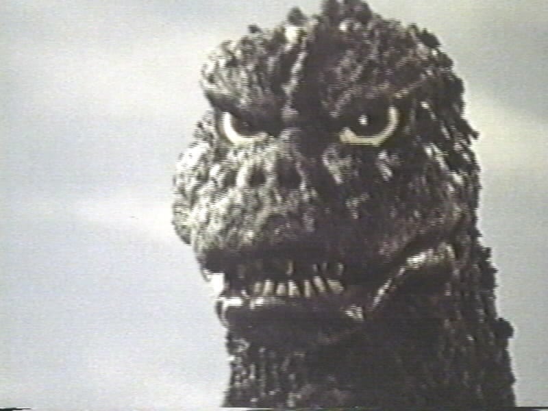 Godzilla vs. MechaGodzilla Godzilla vs. MechaGodzilla
