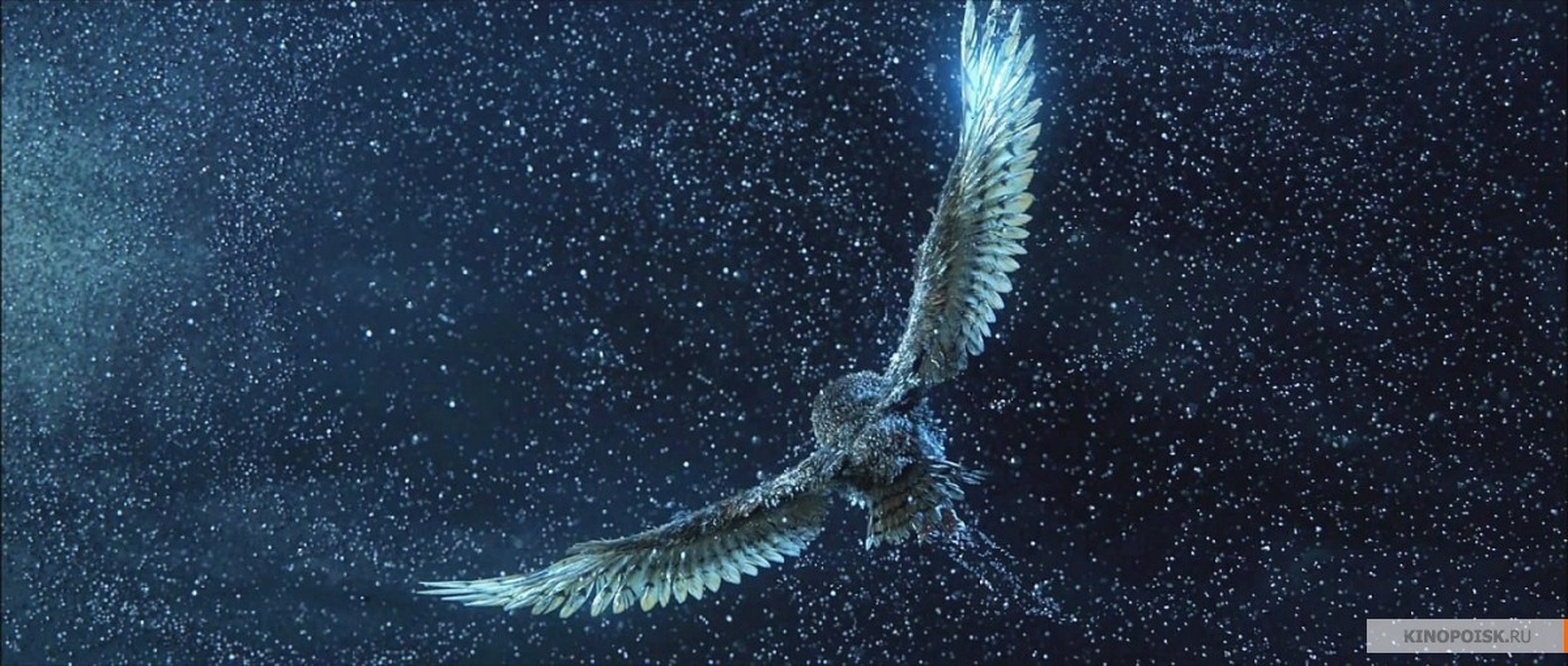 Legend of the Guardians: The Owls of Ga'Hoole